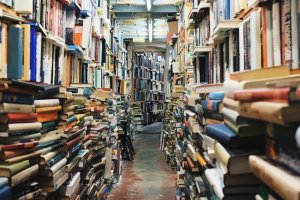 Ilmu Perpustakaan