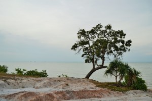 Lokasi Pantai Tanjung Langka
